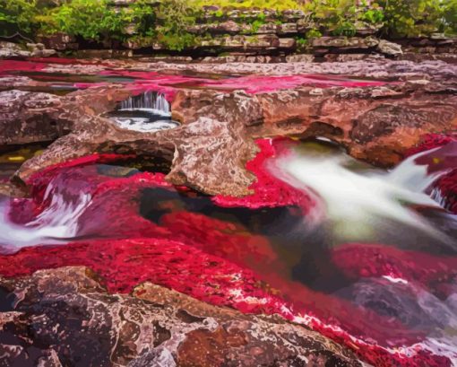 Cano Cristales Paint By Numbers