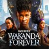 Wakanda Forever Poster Paint By Numbers