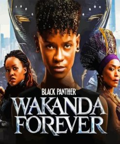 Wakanda Forever Poster Paint By Numbers