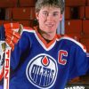 Wayne Gretzky Paint By Numbers