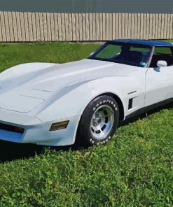 White 1982 Corvette Paint By Numbers