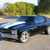 1971 Chevelle Car Paint By Numbers