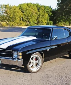 1971 Chevelle Car Paint By Numbers