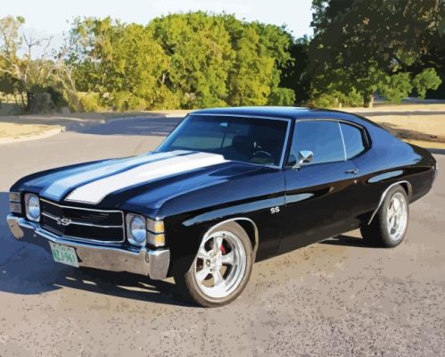 1971 Chevelle Car Paint By Numbers