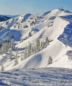 Alpine Meadows Ski Resort Paint By Numbers