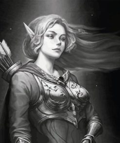 Black And White Archer Elf Paint By Numbers