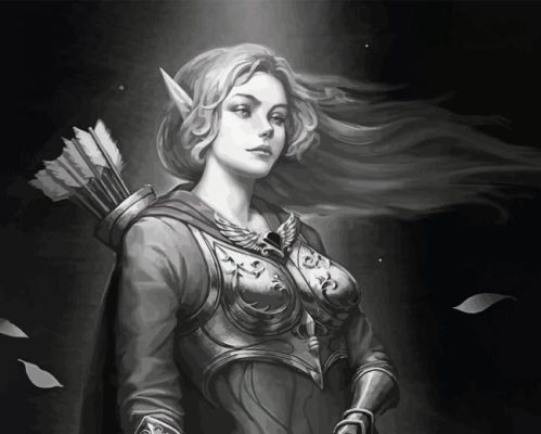 Black And White Archer Elf Paint By Numbers