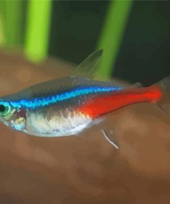 Close Neon Tetras Fish Paint By Numbers