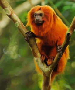 Golden Lion Tamarin On Tree Paint By Numbers