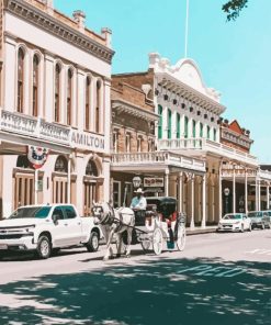 Horse Carriage In Sacramento Paint By Numbers