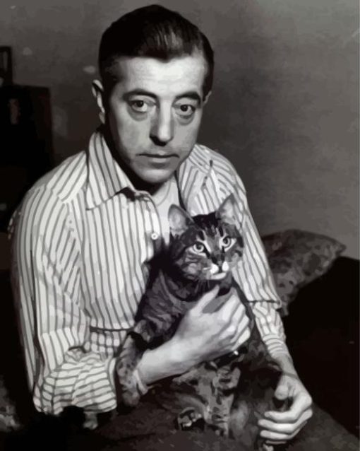 Jacques Prevert With Cat Paint By Numbers