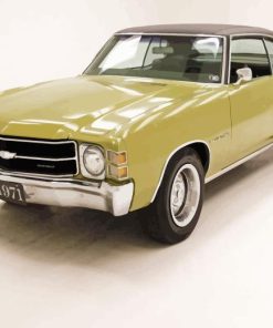 Light Green 1971 Chevelle Paint By Numbers