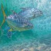 Pompano Fishes Underwater Paint By Numbers