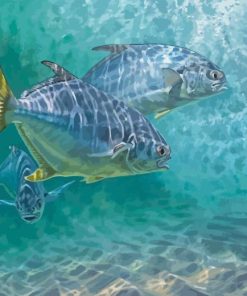 Pompano Fishes Underwater Paint By Numbers