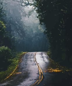 Rainy Forest Paint By Numbers