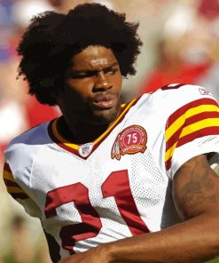 Sean Taylor American Player Paint By Numbers