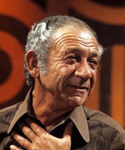 Sid James Paint By Numbers