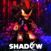 Sonic Shadow Poster Paint By Numbers