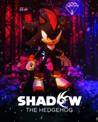 Sonic Shadow Poster Paint By Numbers