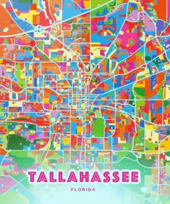 Tallahassee Colorful Poster Paint By Numbers