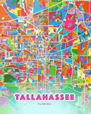 Tallahassee Colorful Poster Paint By Numbers