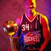 Basketballer Hakeem Olajuwon Paint By Numbers