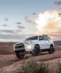 Toyota 4Runner Car Paint By Numbers