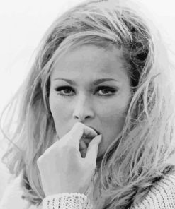 Ursula Andress Paint By Numbers