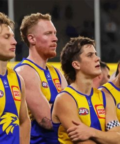 West Coast Eagles Team Paint By Numbers