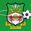 Wrexham Afc Club Logo Paint By Numbers