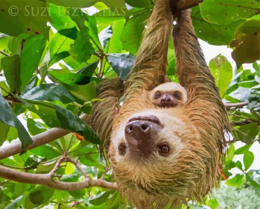 Adorable Sloths Hanging Paint By Numbers