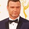 American Actor Liev Schreiber Paint By Numbers