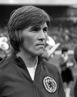 Black And White Kenny Dalglish Paint By Numbers