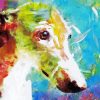 Colorful Greyhound Head Paint By Numbers