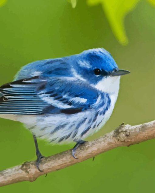 Cerulean Warbler Bird Paint By Numbers