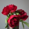 Red Peonies In Vase Paint By Numbers