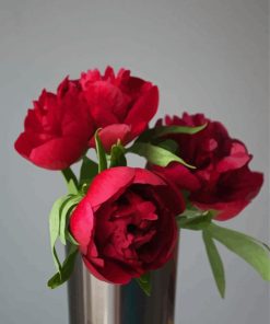 Red Peonies In Vase Paint By Numbers