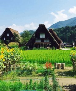 Shirakawa Paint By Numbers