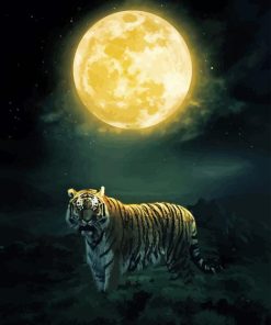 Tiger And Moon Paint By Numbers