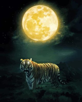 Tiger And Moon Paint By Numbers