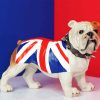 Union Jack Flag British Bulldog Paint By Numbers