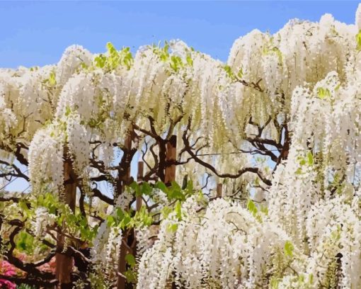 Wisteria Tree Paint By Numbers