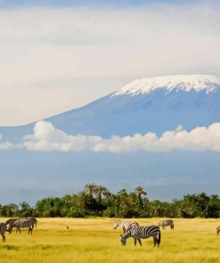 Zebras Mount Kilimanjaro Paint By Numbers