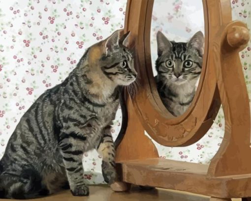 Cat Looking In The Mirror Paint By Numbers