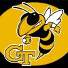 Georgia Tech Yellow Logo Paint By Numbers