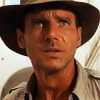 Harrison Ford Raiders Of The Lost Ark Paint By Numbers