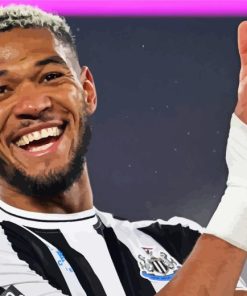 Joelinton Smiling Paint By Numbers