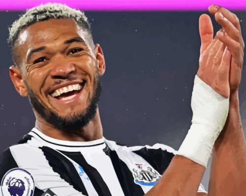 Joelinton Smiling Paint By Numbers