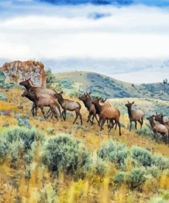 Mountain Elk Herd Paint By Numbers