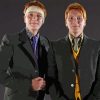 Weasley Twin Harry Potter Movie Paint By Numbers